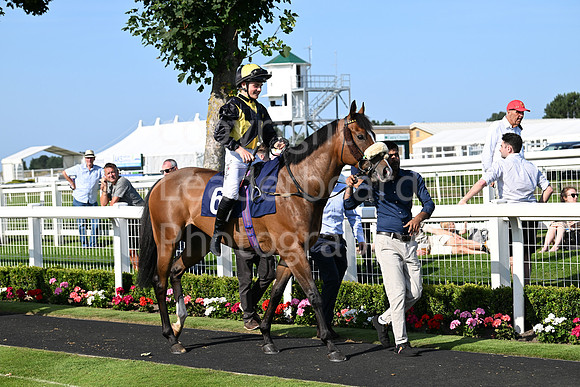 Gt_Yarm_July_30_2024-255