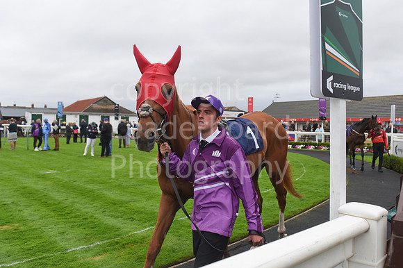 Gt_Yarm_Ladies Night_2025-194