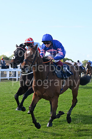 Gt_Yarm_22_May-235