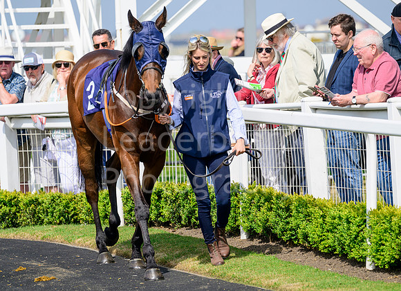 NZ9_5095