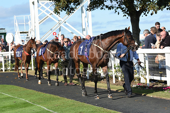 Gt_Yarm_Eastern_Fest_Day_2-166