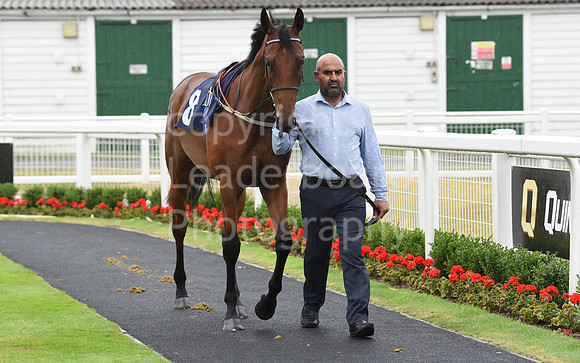 Gt_Yarm_30_June_2022-63