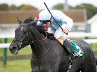 Great Yarmouth races Oct 5th 2012