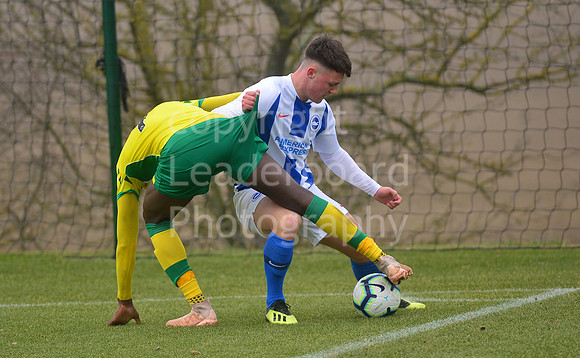 NB_079_NCFC_U18_Brighton