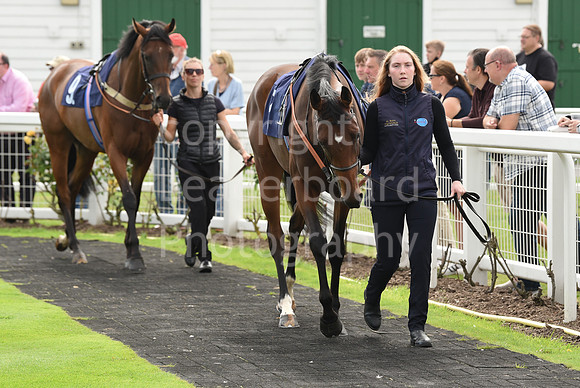 Gt_Yarm_Races_24_Aug_2021-37
