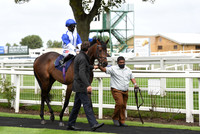 Gt_Yarmouth_Races_230Aug-14