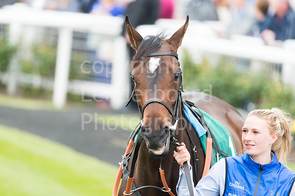 LB_Yarouth_races_2016_0401