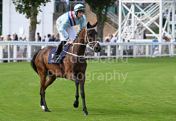 Gt_Yarm_Aug_8_2024-133