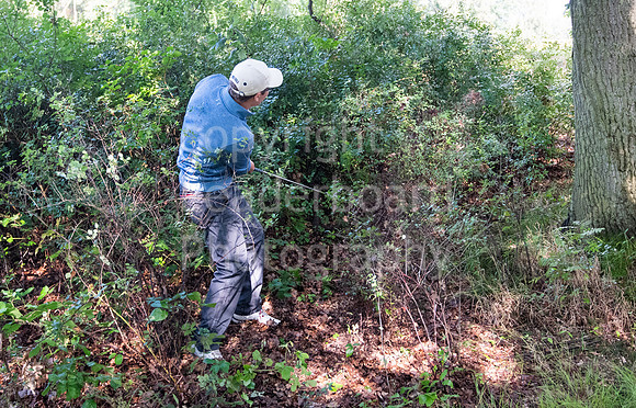LBP_6705