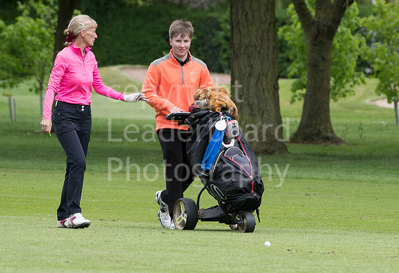 LB_Senior_Women_Staffs_2017_2401