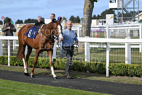 Gt_Yarm_May14_2025-232