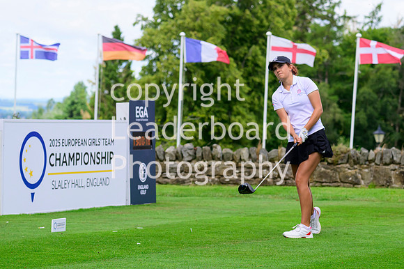 NZ9_7406