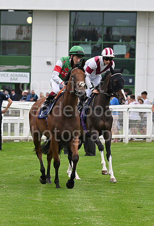 Gt_Yarm_19_Aug_Evening_Race-95