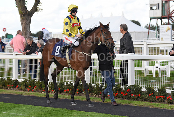 Gt_Yarm_15_Sept_2022-214