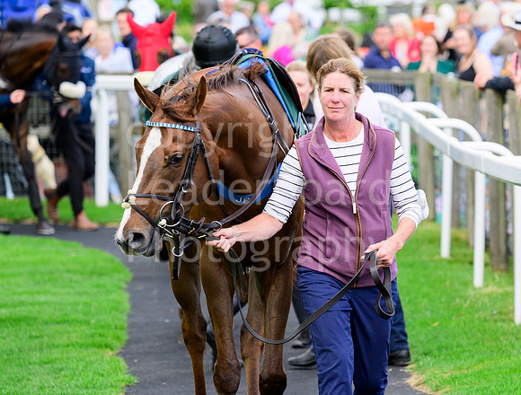 NZ9_5393