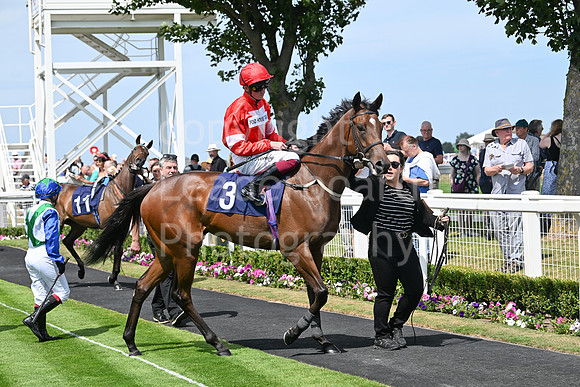 Gt_Yarm_Residents_Day_June_27-52