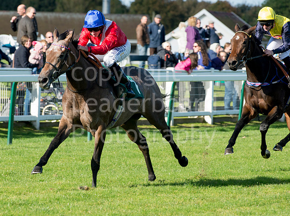 LB_GY_races_18_10_2016_0030