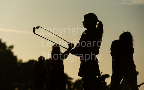 BS4_3680