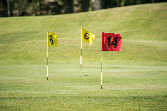 106_ENGLAND_GOLF_ACTION_2016