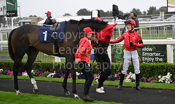 Gt_Yarm_Ladies Night_2025-41