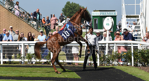 Gt_Yarm_Racing_5th_Aug_2021-37
