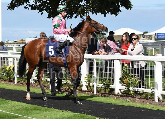 Gt_Yarm_Races_24_Aug_2021-75
