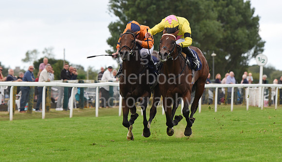 Gt_Yarm_14_Sept_2022-148