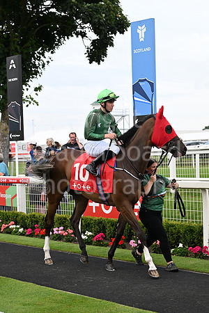 Gt_Yarm_July25_Racing_League_2024-26