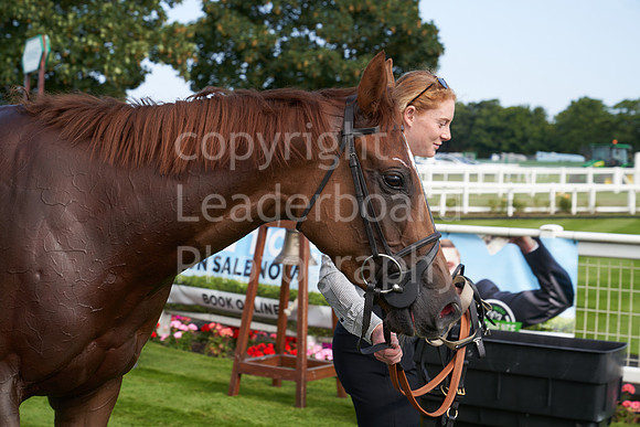 Great Yarmouth  Race Seven 11th Aug 2021 0502