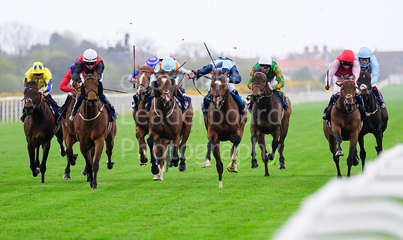 NZ9_3990