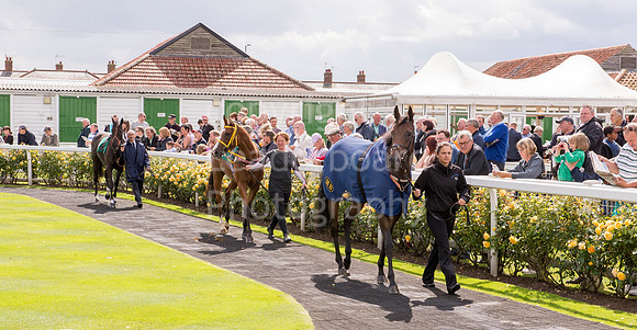 LB_GYR_Aug_19_2014__210