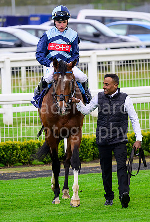 NZ9_4082