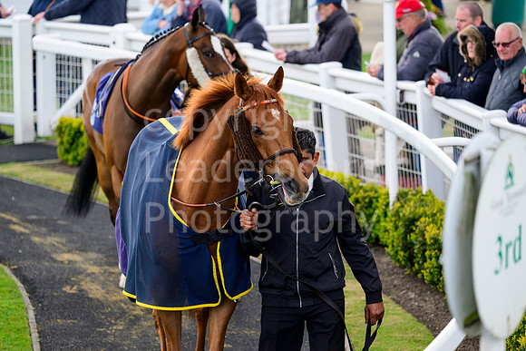 NZ9_4095