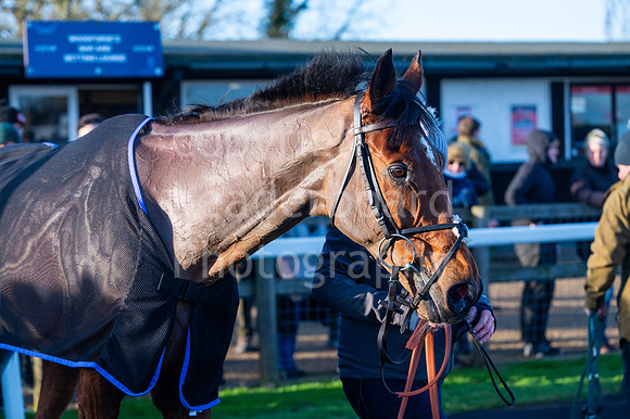 24IB_Fakenham_Races_December_109