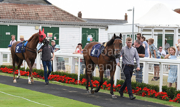 Gt_Yarm_4 Aug_2022-28
