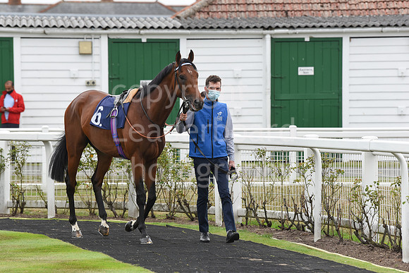 Gt_Yarmouth_Races_22July2020-6