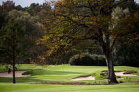 LB_011_England_Golf_Day