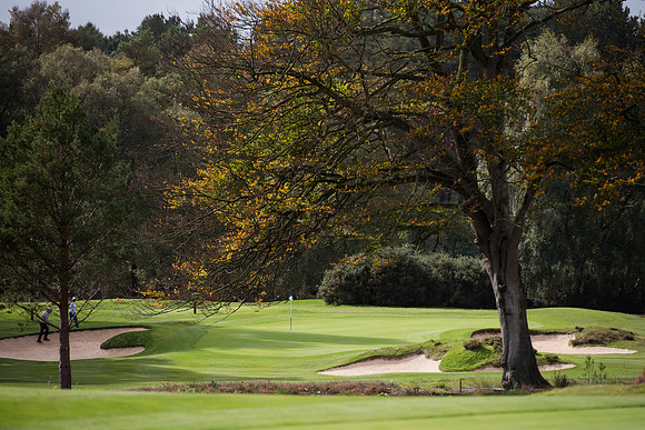 LB_011_England_Golf_Day