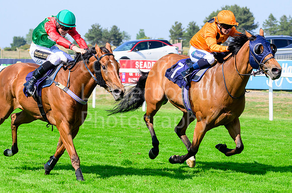 NZ9_3199