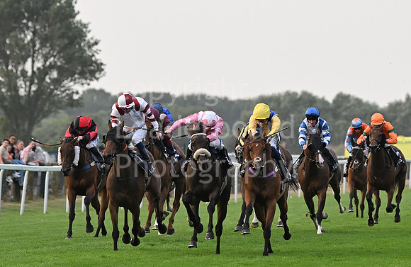 Gt_Yarm_19_Aug_Evening_Race-238