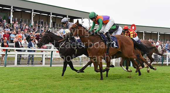 Yarm_Races_17July-12