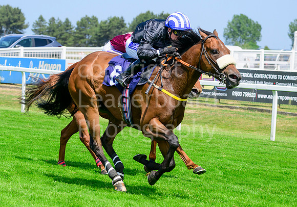 NZ9_2288