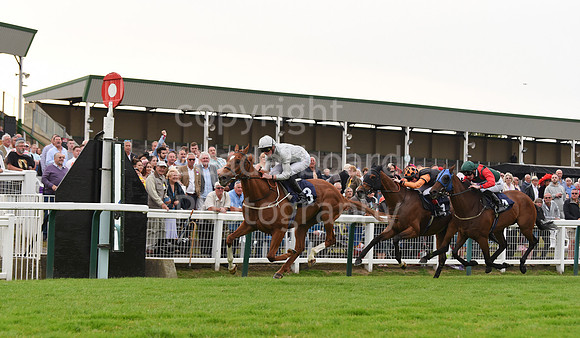 Yarm_Races_17July-50
