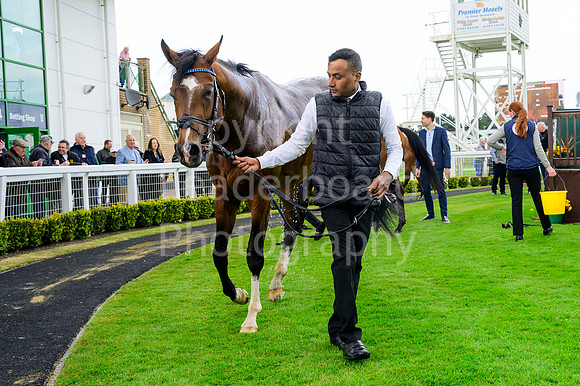 Winning_Groom_04