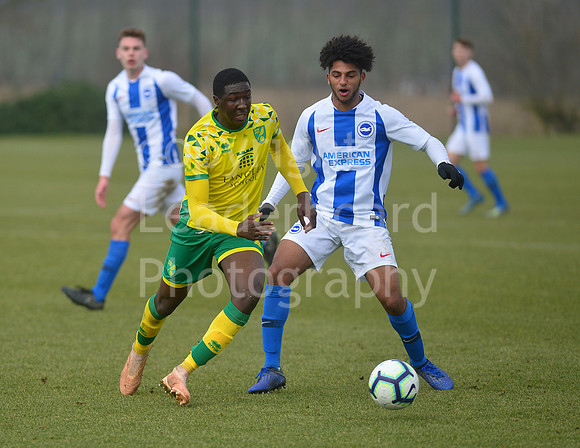 NB_037_NCFC_U18_Brighton
