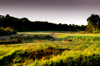 LB_Brabazon_2017_1656