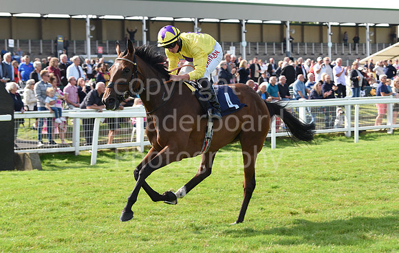 Gt_Yarm_Races_7th_July2021-229
