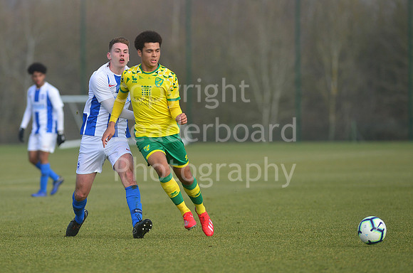 NB_088_NCFC_U18_Brighton