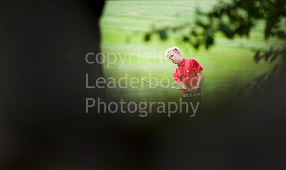 LB_Boys_County_2014__2629