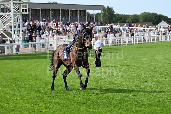 Gt_Yarm_Racing_3rd_July-163